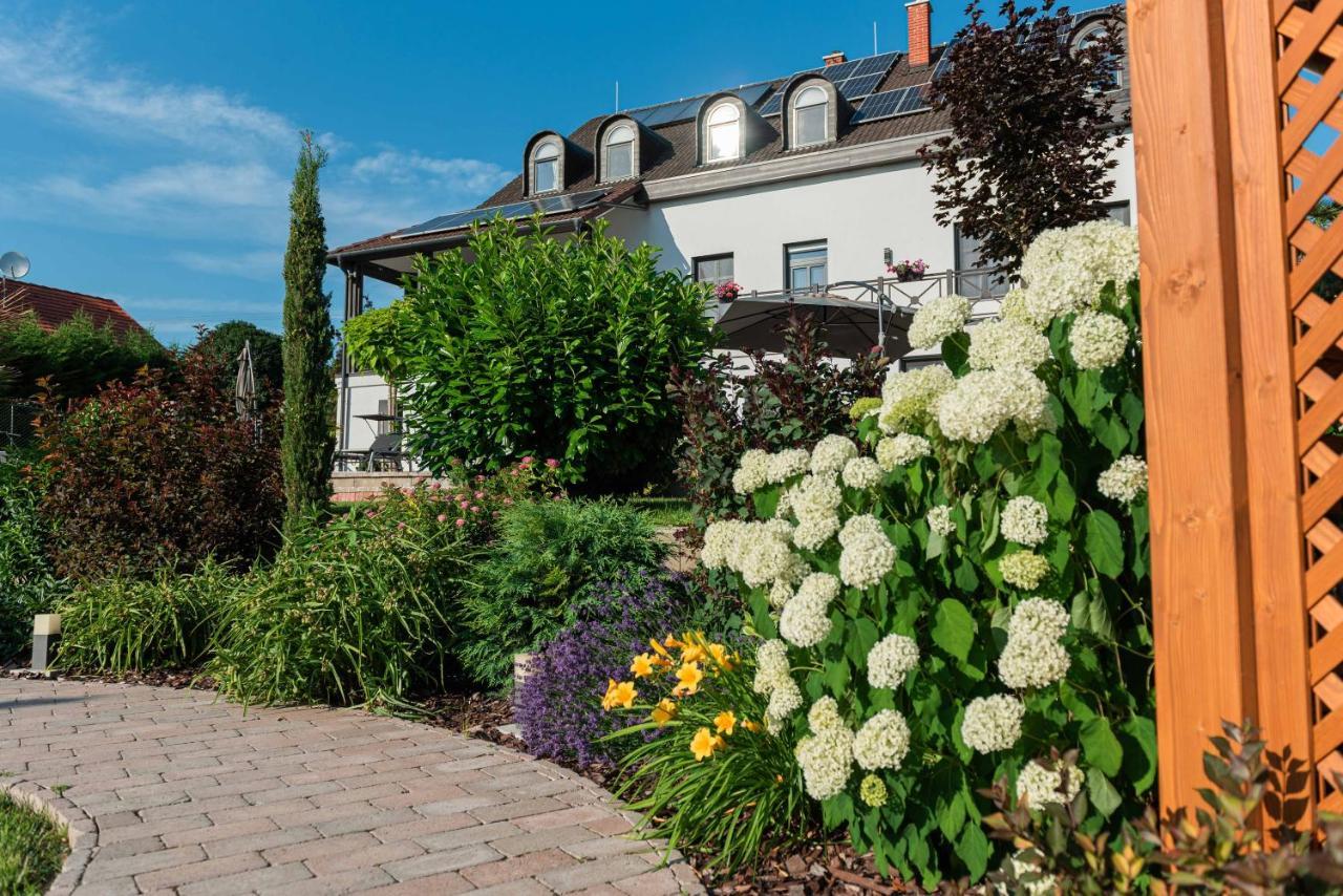 Katzer Villa Badacsonytördemic Dış mekan fotoğraf